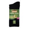 Underworks Ladies Fine Cushion Bamboo Crew Socks 2 Pack Black -women's clothing Sales 614994 C 0001 00
