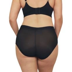 Ambra Sheer Smoothies Sheer Waisted Full Brief Black